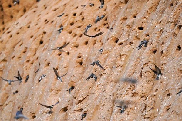 A cyclist broke the national record for the 50-kilometer race by 2 minutes