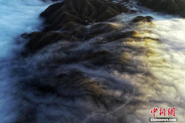 A new report showed that the number of electric vehicles on the road has tripled in the past two years