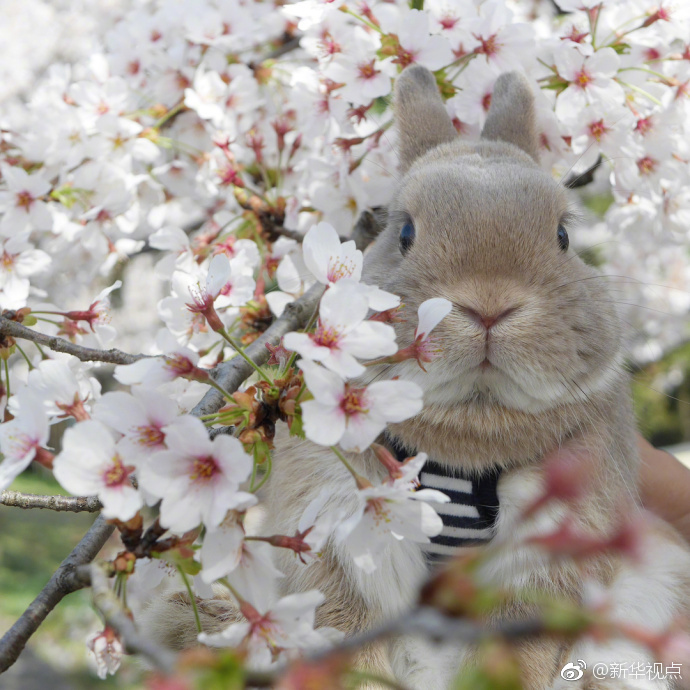 Research finds that gardening improves mental health in people with anxiety