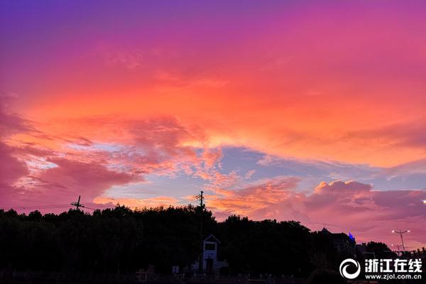 A tech startup launched a new app that helps users track their carbon footprint and make more eco-friendly choices.