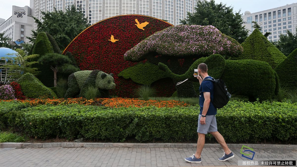 Local government plants 2,000 trees in urban parks to combat heat islands