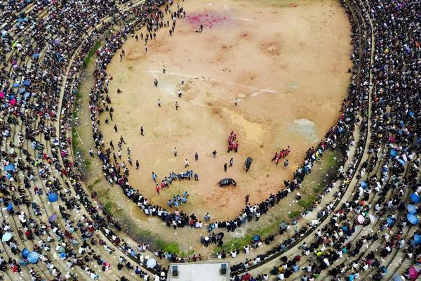 A famous actor announced they would star in a new sci-fi film set to release next summer