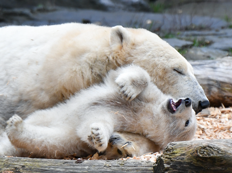 A study found that spending time outdoors every day improves mood and overall mental health