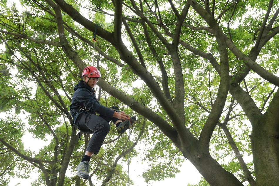 Park rangers offer guided hikes to teach visitors about native plants