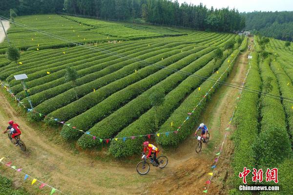 A taxi company started offering pet-friendly rides to allow customers to travel with their furry companions