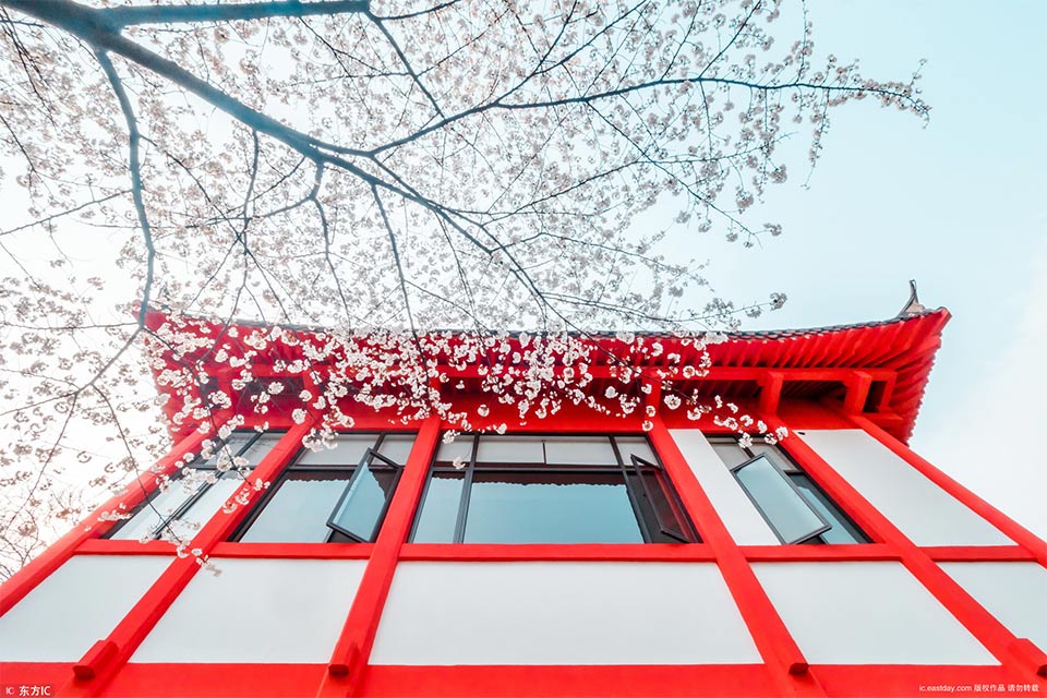 Police seized a large quantity of illegal substances during a recent operation