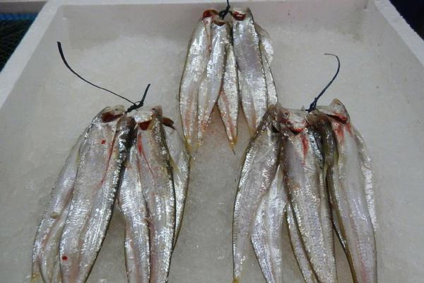 A charity started a program to help elderly homeowners with minor home repairs