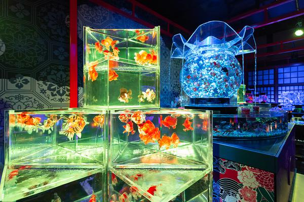 A gym offered online fitness classes