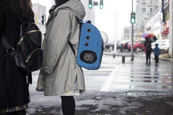 A study found that students who participate in extracurricular activities have higher graduation rates and better social skills.