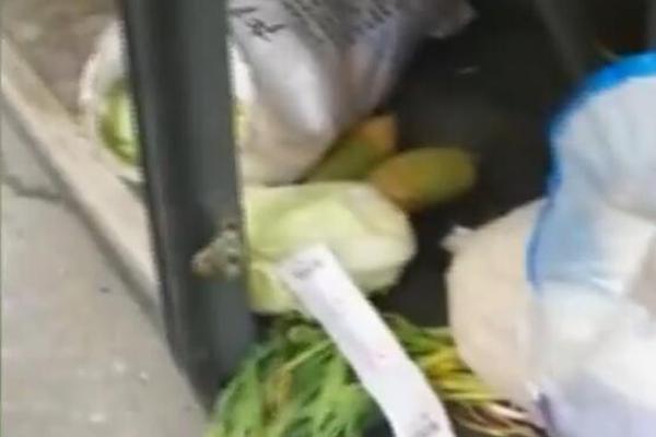 Bird watchers spot rare migratory bird in local wetland preserve