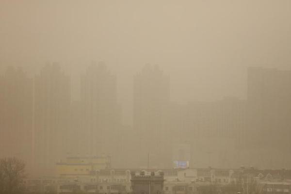 Local businesses offered discounts to customers who bring their own shopping bags