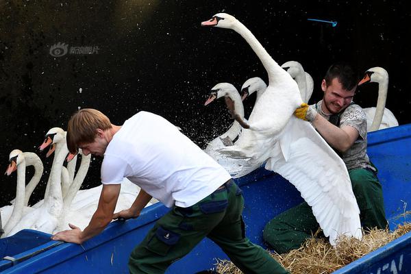 A heavy rainstorm caused flooding in basements of 100 homes in a suburban neighborhood