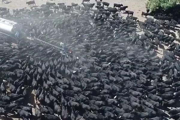 A cultural exchange program allowed students to travel to other countries to learn about different traditions