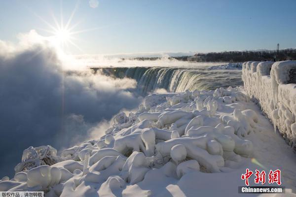 International teams are collaborating to address climate change challenges