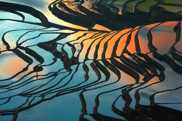 International teams are collaborating to address climate change challenges