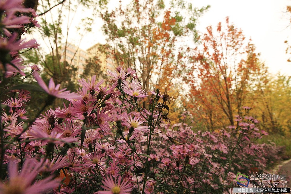 A construction project to widen a busy highway began this month