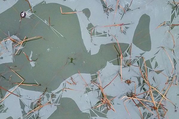 A charity started a job training program for homeless people