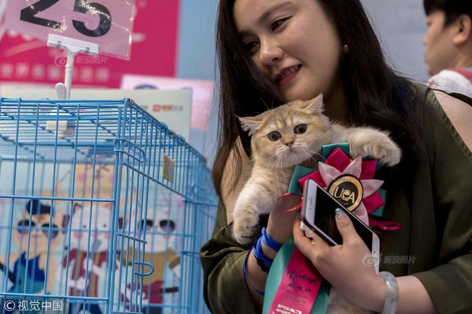 Scientists discovered a new species of beetle in the rainforests of South America