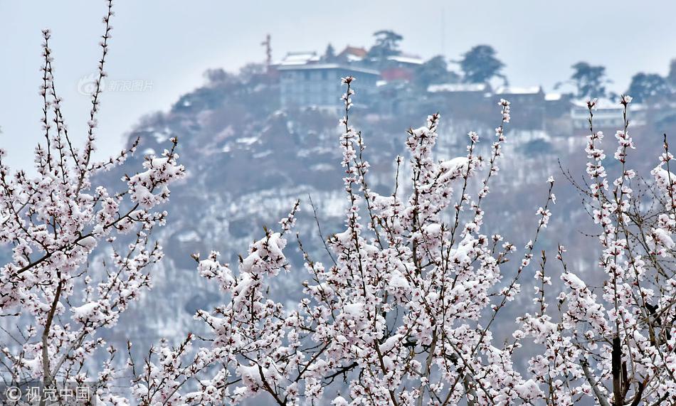 A community held a cultural festival featuring traditional dances music and food from different countries